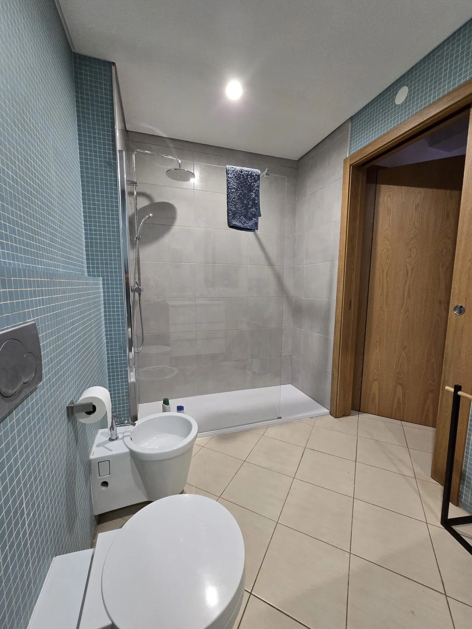 Modern bathroom with rainfall shower