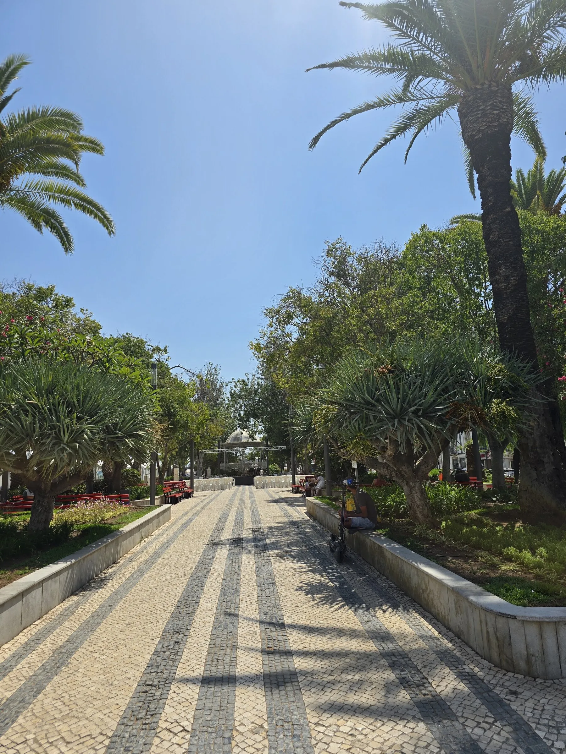 Palm-lined promenade in Tavira